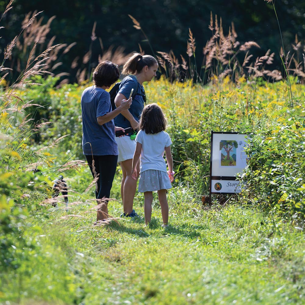 Adult with two children looking at a StoryWalk in a field