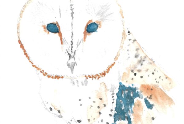Owl watercolor painting