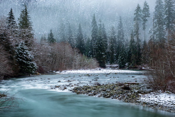 Snoqualmie River by Kenrick Fischer