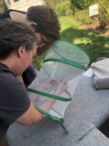 A librarian collecting a Monarch butterfly from the habitat while a youth patron looks on.