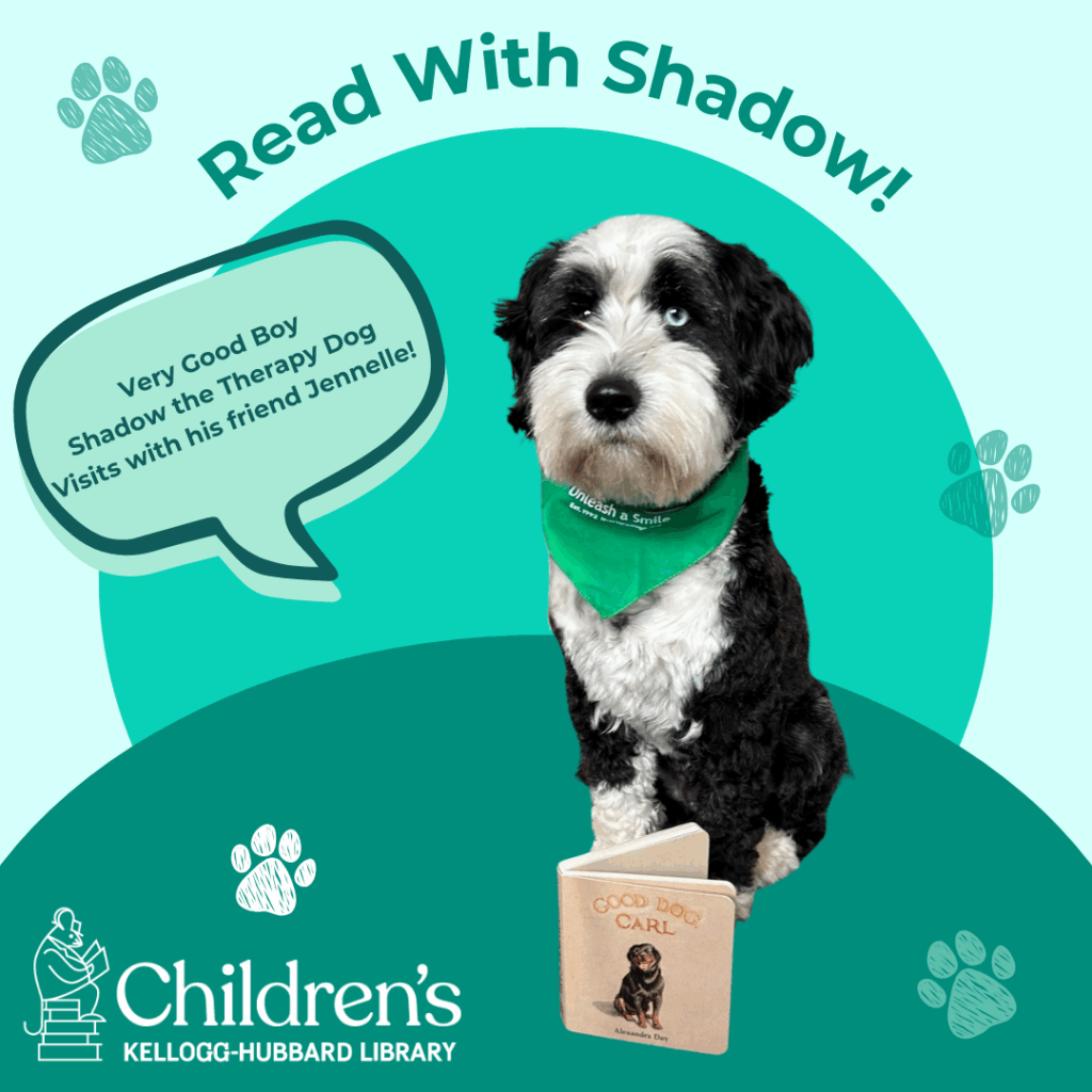 read with shadow