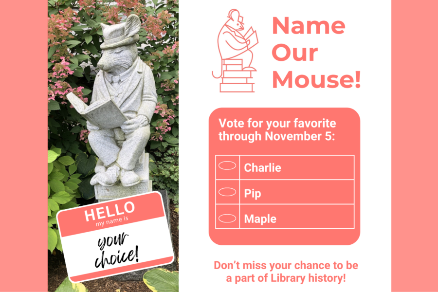 Name our mouse vote