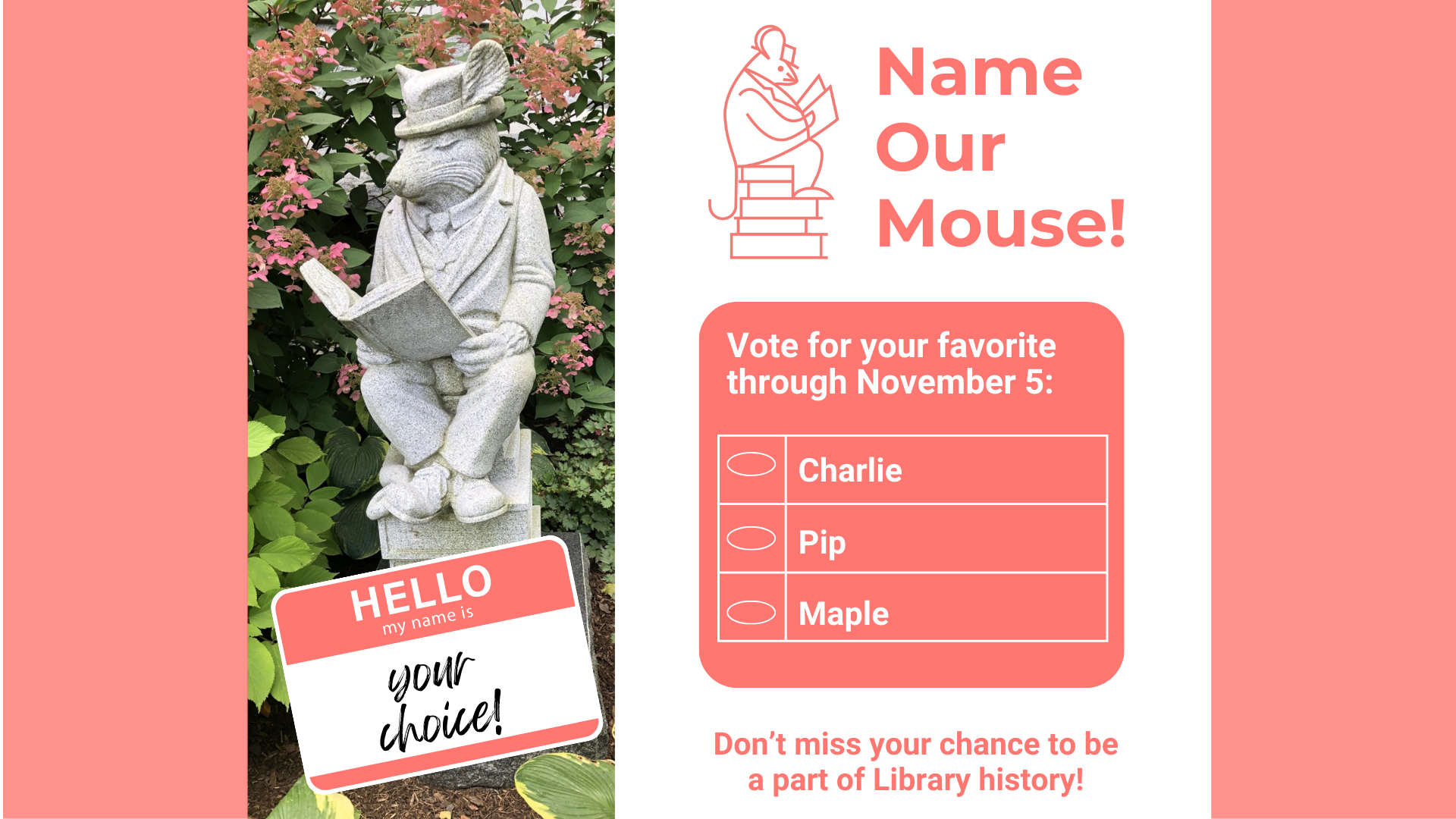 Name our mouse vote