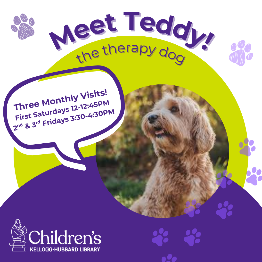 teddy the therapy dog