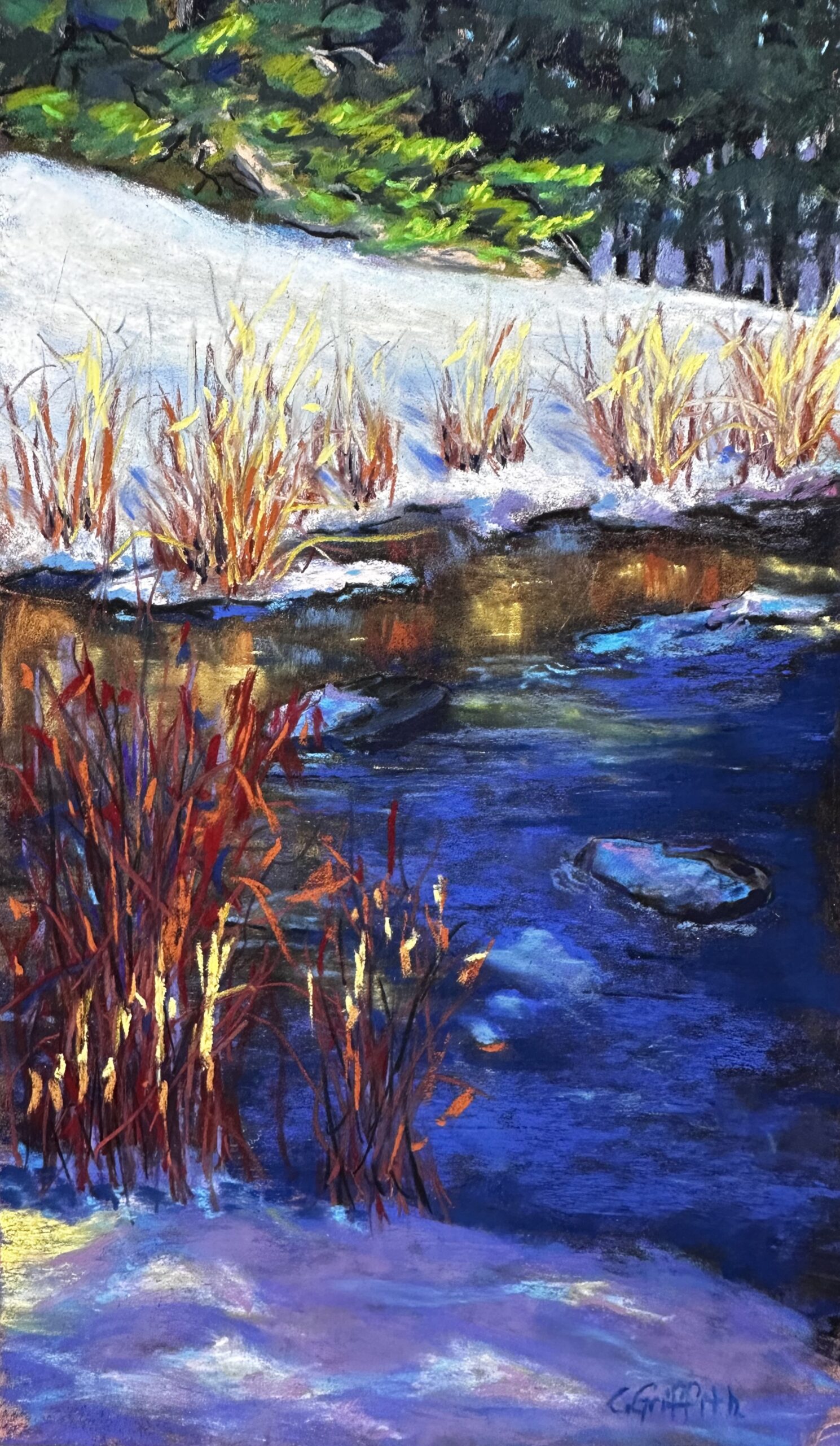 Edge of water with cattail plants and snow covered banks.