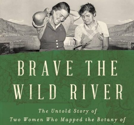 Brave the wild river book cover