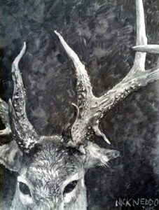 Black and white partial image of deer head with antlers.